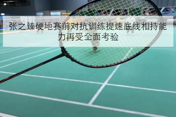 张之臻硬地赛前对抗训练提速底线相持能力再受全面考验